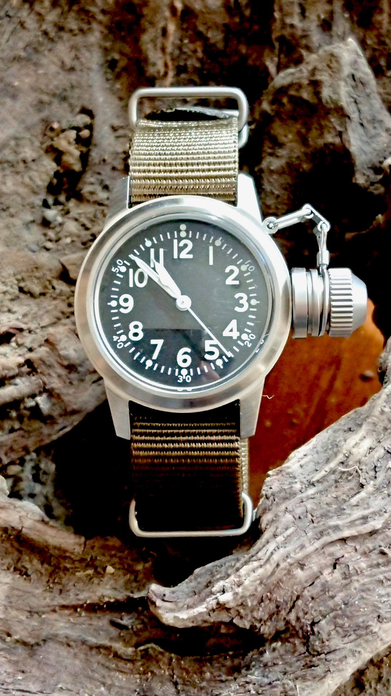 Bushps watch