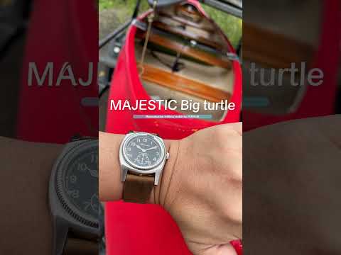 Big turtle small second brown genuine leather crazy horse strap